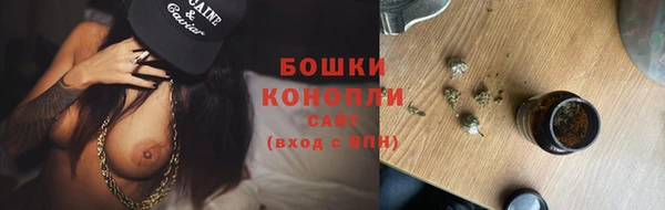 хмурый Липки