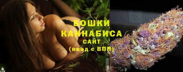 хмурый Липки