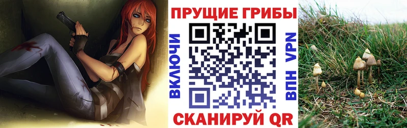 Псилоцибиновые грибы ЛСД  Северская 