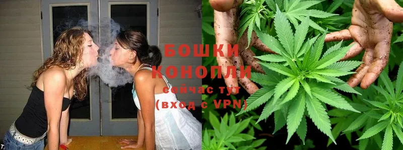 Бошки марихуана Ganja  цены   Северская 